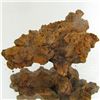 Image 1 : 155ct Crystalized Coprolite Dinosaur Doo Cluster (MIN-001134)