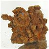 Image 1 : 150ct Crystalized Coprolite Dinosaur Doo Cluster (MIN-001128)