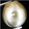 Image 1 : 11.51ct Freeform Tahitian Black Pearl (GEM-45690)