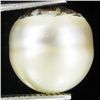 Image 1 : 13ct Freeform Tahitian Black Pearl (GEM-45713)