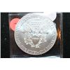 Image 2 : 2012 Silver Eagle $1