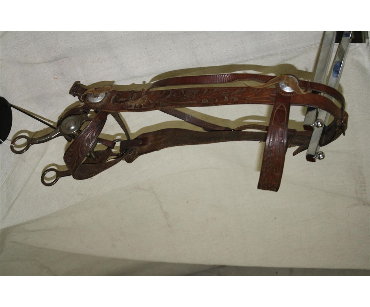 Crockett Arrow Shank Bit / Rt Frazier Bridle