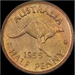 1955 Halfpenny