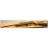 Image 4 : Mag Tech 22 cal. Bolt Rifle NIB