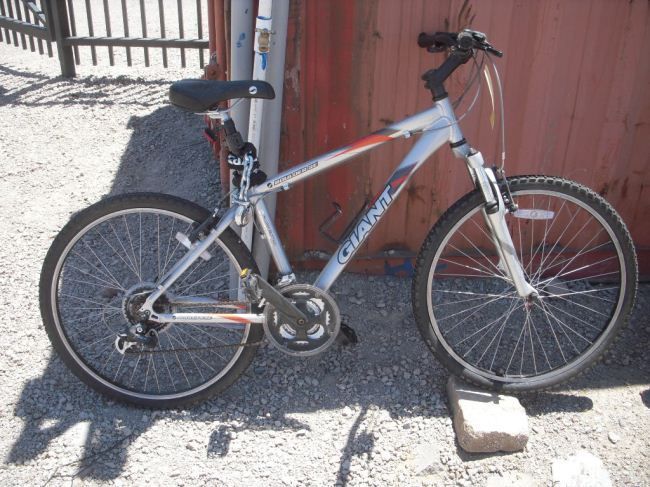 rhino mountain bike price