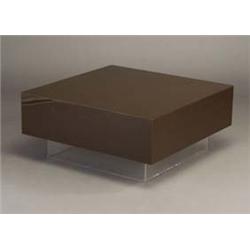 ALBRIZZI acrylic coffee table with brown bloc