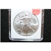 Image 1 : 2012 Silver Eagle $1; MCPCG Graded MS69