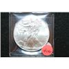 Image 1 : 2012 Silver Eagle $1