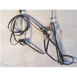 Black Leather Halter With Reins And Snaffle Bit