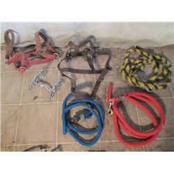 3 Lead Ropes, 2 Head Stalls And A Bit