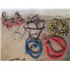 Image 1 : 3 Lead Ropes, 2 Head Stalls And A Bit