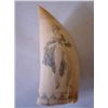 Image 2 : ET0503120128 Erotically scrimshawed whales tooth