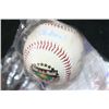 Image 1 : Autographed Stan Musial Baseball W/COA Included