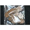 Image 1 : Lincoln Wheat Back Penny; Various Dates & Conditions; Lot of 25