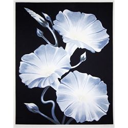 Lowell Blair Nesbitt, Morning Glories, Serigraph