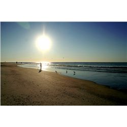 Mickey Frome, Morning Sun, Color Photograph