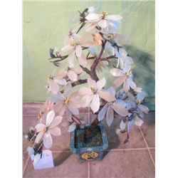 White Jade Tree