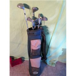 Wilson & Tailor Maide Irons In Golf Bag