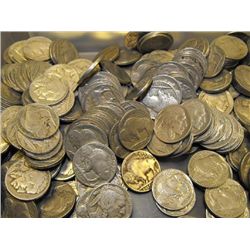 (500) Buffalo Nickels- Partial Date