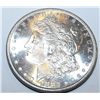 Image 1 : 1882 S PL Surface BU PLUS Morgan