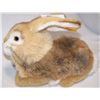 Image 2 : STEIFF Poppel Rabbit, Brown, Crouching #077760.