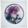 Bruce Martin Scott, Bullthistle, Signed Lithograph