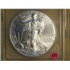 Image 1 : 2003 SILVER EAGLE