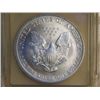 Image 2 : 2003 SILVER EAGLE