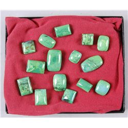 Lot of 15 Stabilized Green Turquoise StonesCut by Master stone cutter Raymond Wood, all  in a Riker 