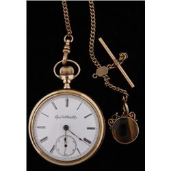 Elgin 14K Gold Pocket Watch SN:3468406With gold plated chain and tiger eye cameo  fob, manufactured 