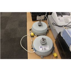 2 HANGING DISCO BALL TURNERS