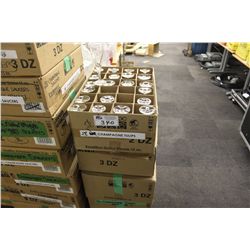 LARGE LOT OF CHAMPAGNE TULIPS