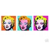 Image 1 : Andy Warhol Ultimate Marilyn Monroe 3 Portrait Suite!