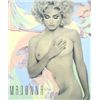 Image 1 : Dynamic HAND SIGNED Steve Kaufman Madonna Half Naked