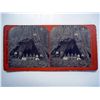 Image 1 : Stereoscope Card, Calaveras Big Trees.