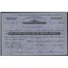 Image 1 : Bocaneme Gold & Silver Mining Co., Issued Stock.