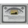 Image 1 : Yellowstone Park Transportation Co., Unissued Stock.