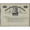 Image 1 : Yellowstone National Park Transportation Co., Unissued Stock