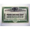 Image 1 : Wolverine Copper Mining Co., Issued Stock.