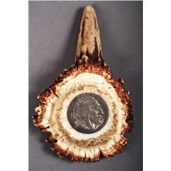 Native American Indian made Silver Buffalo Nickel mounted on a se…