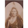 Image 2 : David F. Barry American (1854 - 1934) photograph of Chief Goose. …