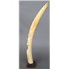 Image 4 : African Carved Ivory Tusk, Woman (2 of 2)…