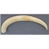 Image 7 : African Carved Ivory Tusk (Large)…