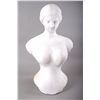 Image 1 : Dr. Warners Health Corset.  Chalk mannequin.  Patented Feb. 13, 1…