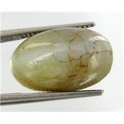 15.10ct Precious Crysoberyl Cat's Eye (GEM-21936)