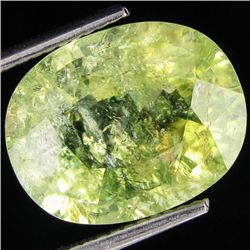 6.02ct Green Copper Bearing Tourmaline (GEM-29991)