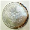 Image 2 : 2005    silver Eagle GEM  GREAT TONING