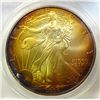 Image 2 : 2006    silver Eagle   ANACS67  GREAT TONING