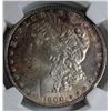 Image 2 : 1900 Morgan $ NGC 66