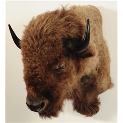 Buffalo Mount